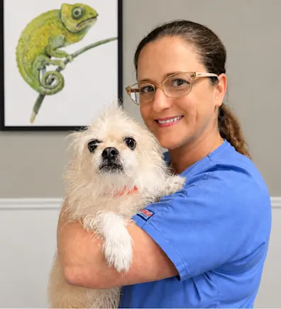 Candi's staff photo from Spanish Trail Animal Hospital where she is holding a puppy chihuahua. Candi's staff photo from Spanish Trail Animal Hospital where she is holding a puppy chihuahua.