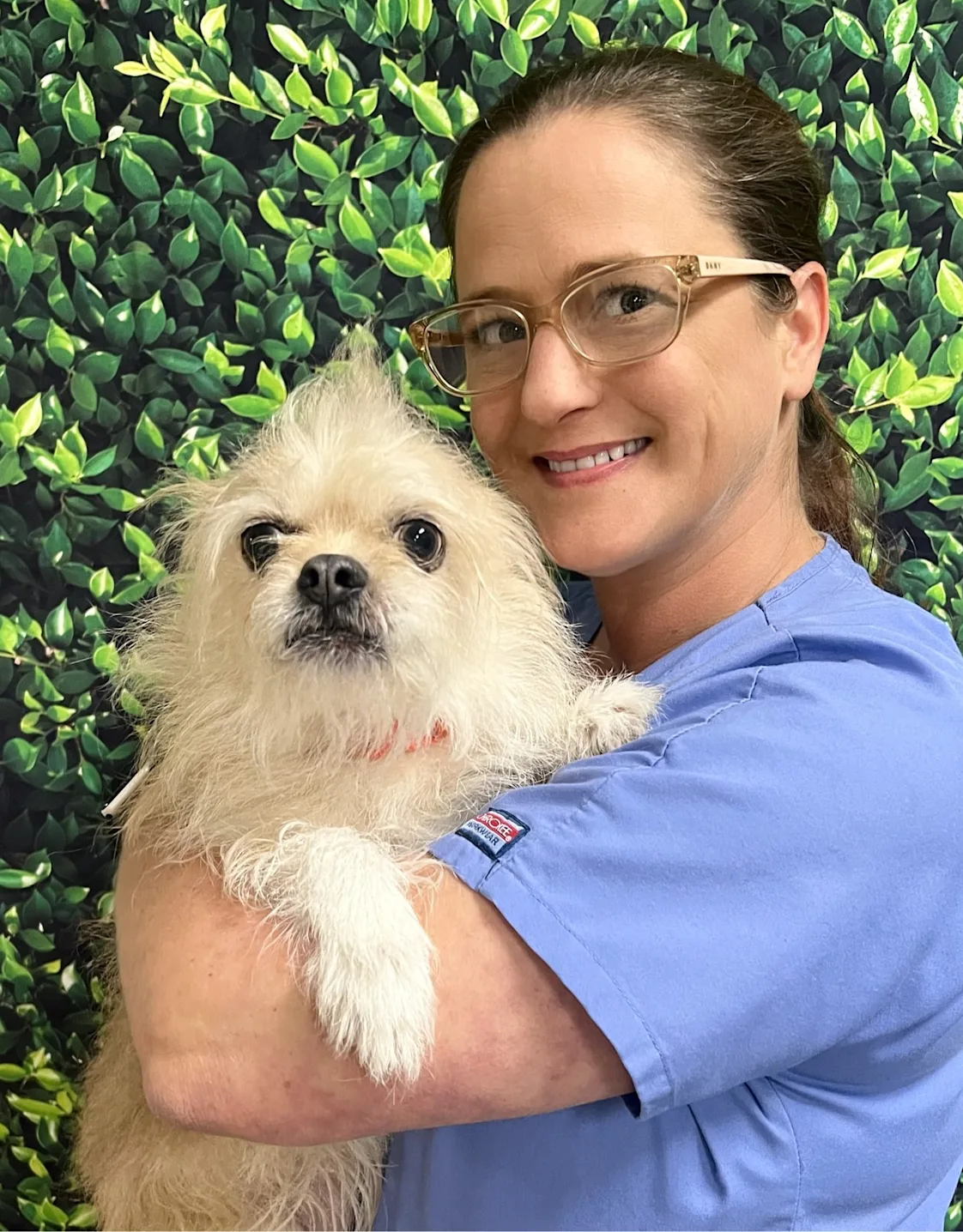 Candi's staff photo from Spanish Trail Animal Hospital where she is holding a puppy chihuahua. Candi's staff photo from Spanish Trail Animal Hospital where she is holding a puppy chihuahua.
