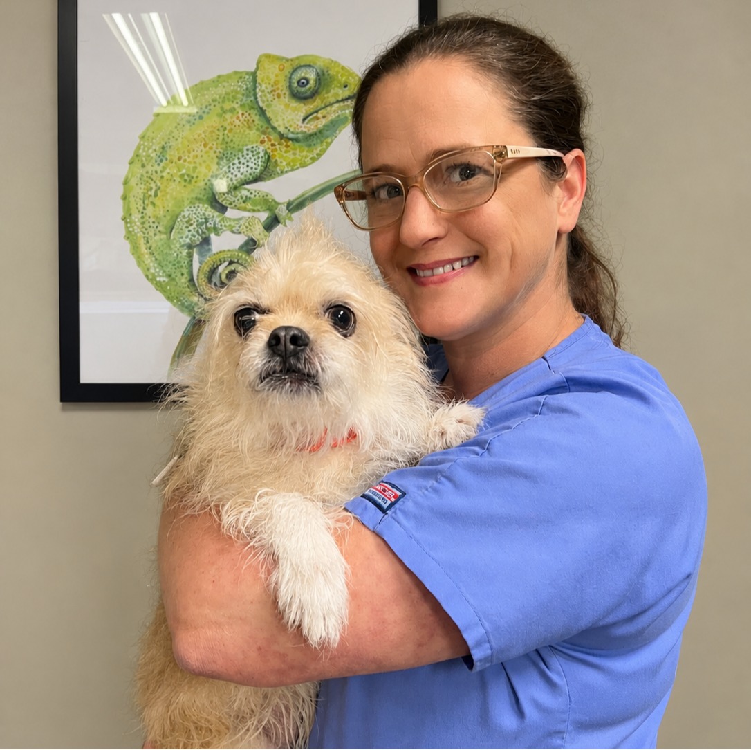Candi's staff photo from Spanish Trail Animal Hospital where she is holding a puppy chihuahua.