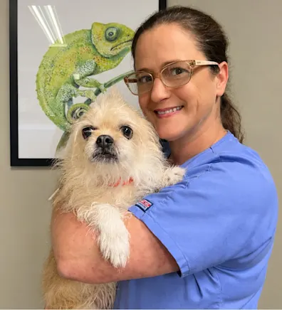 Candi's staff photo from Spanish Trail Animal Hospital where she is holding a puppy chihuahua. Candi's staff photo from Spanish Trail Animal Hospital where she is holding a puppy chihuahua.