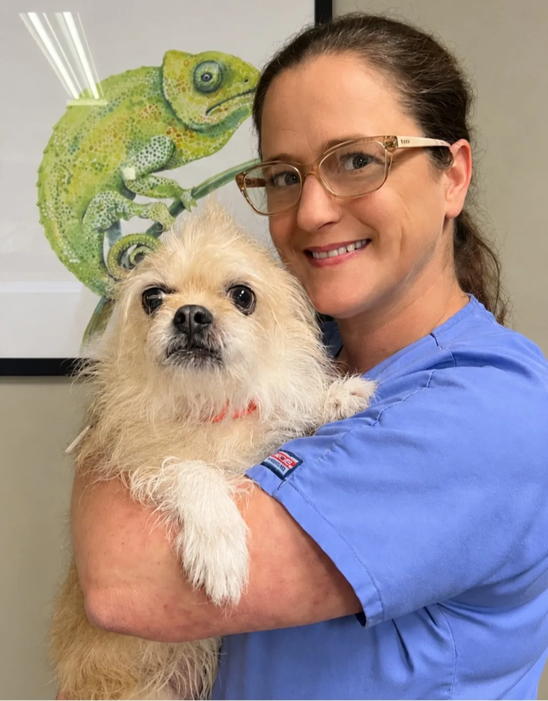 Candi's staff photo from Spanish Trail Animal Hospital where she is holding a puppy chihuahua. Candi's staff photo from Spanish Trail Animal Hospital where she is holding a puppy chihuahua.
