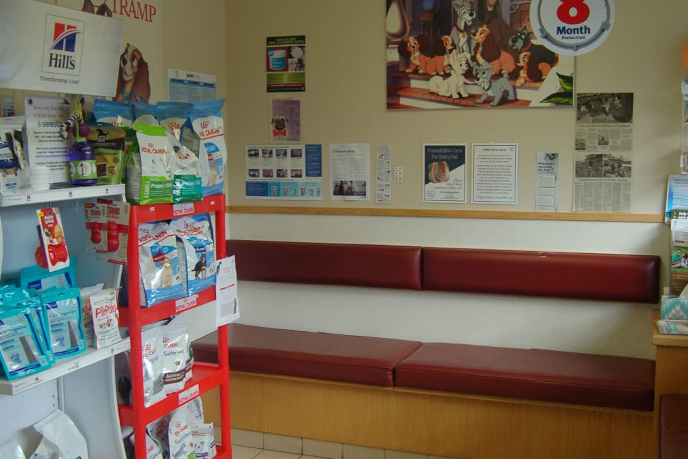 lobby at Kenmore Animal Hospital