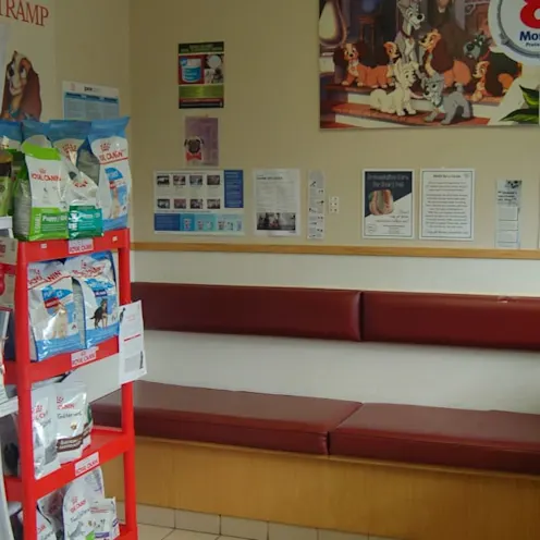 lobby at Kenmore Animal Hospital lobby at Kenmore Animal Hospital