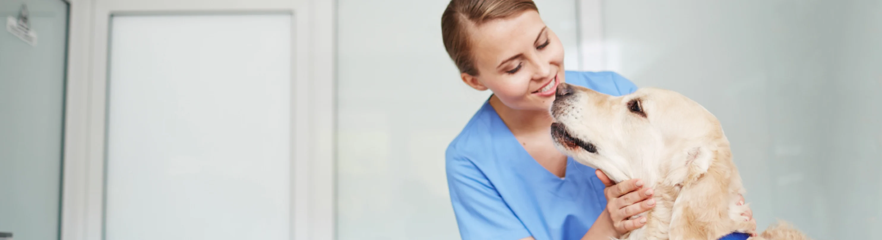 Nurse Smile with Golden Retriever