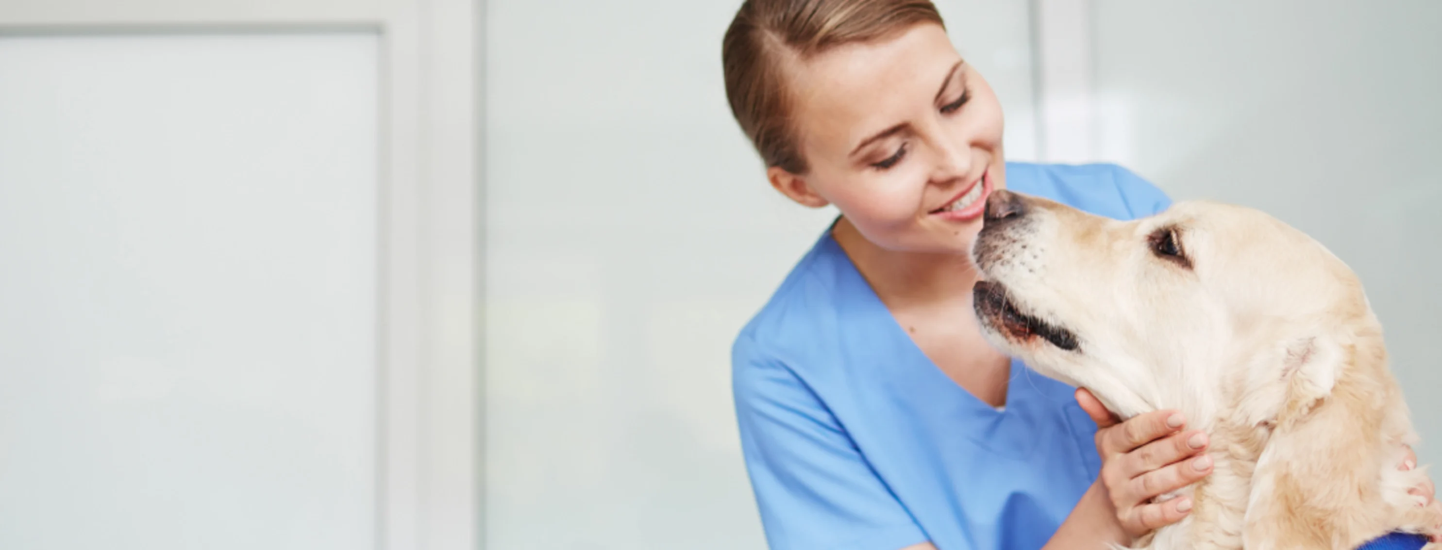 Nurse Smile with Golden Retriever