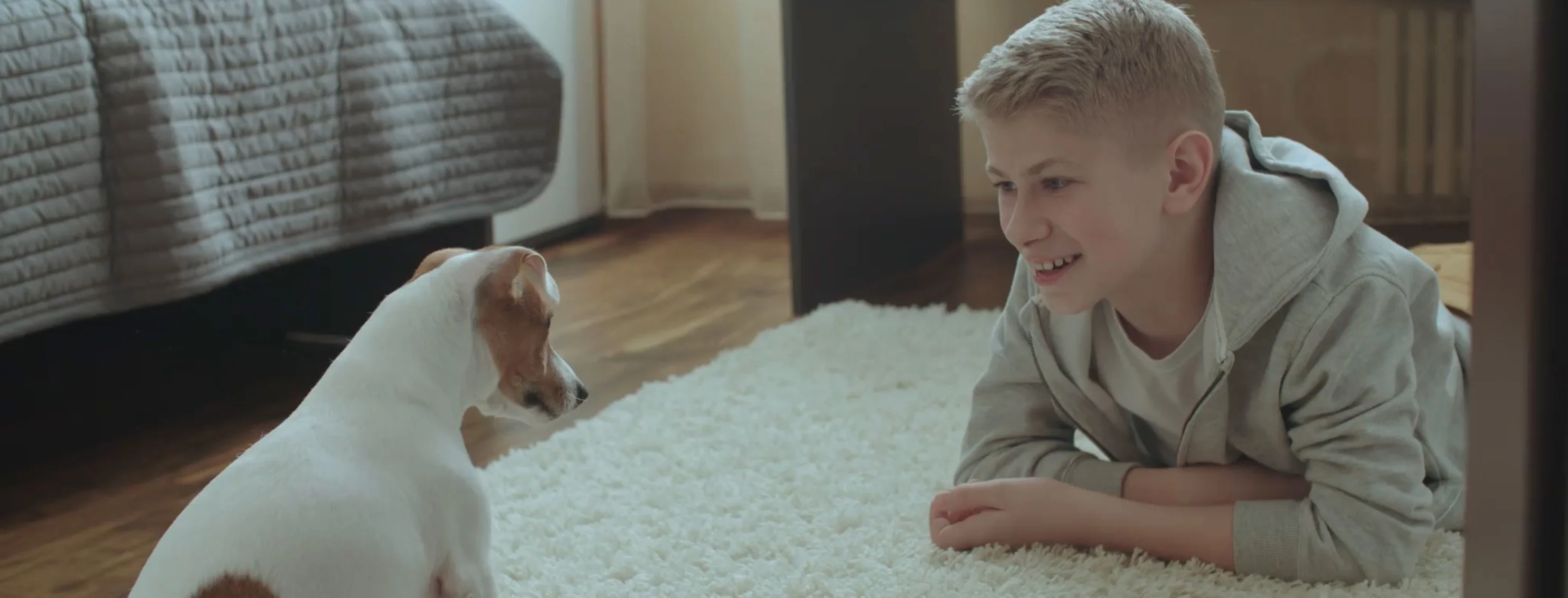 A dog and boy play A dog and boy play