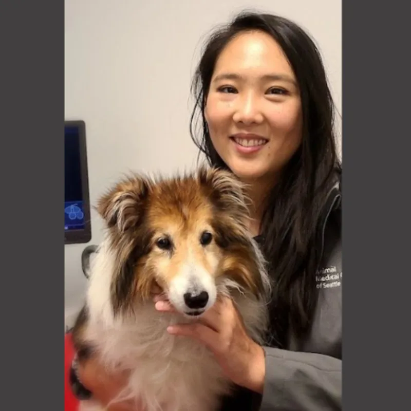 Alison Khoo Alison Khoo