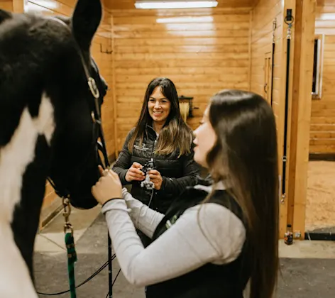 Equine athlete receiving an endoscopy from one of our Evergreen Equine doctors and a technician. Equine athlete receiving an endoscopy from one of our Evergreen Equine doctors and a technician.