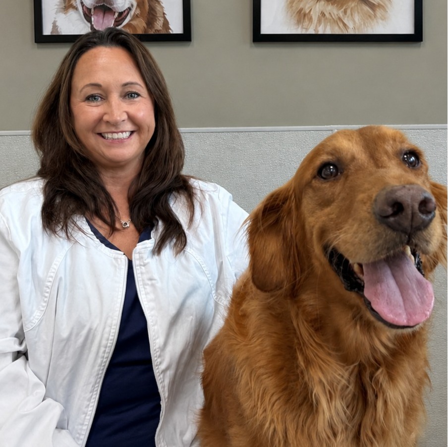 Dr. Agnes Clay-Anderson's Staff photo from Spanish Trail Animal Hospital where she is sitting outside hugging a big black dog