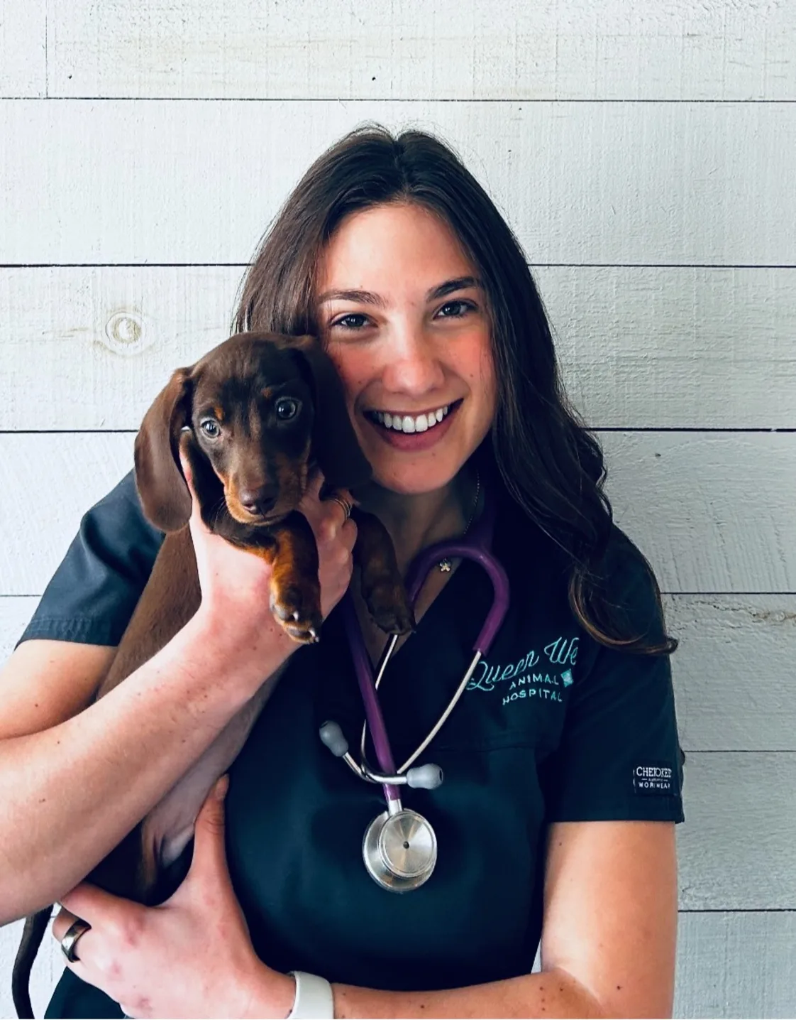 Dr. Maddy Williams, DVM Dr. Maddy Williams, DVM