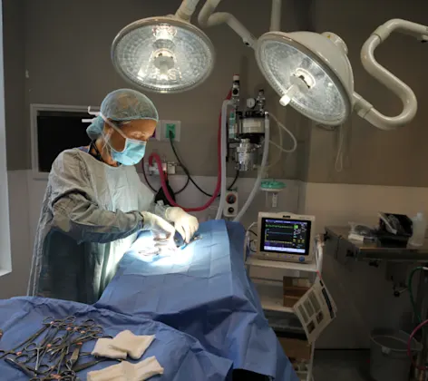 Staff performing surgery Staff performing surgery