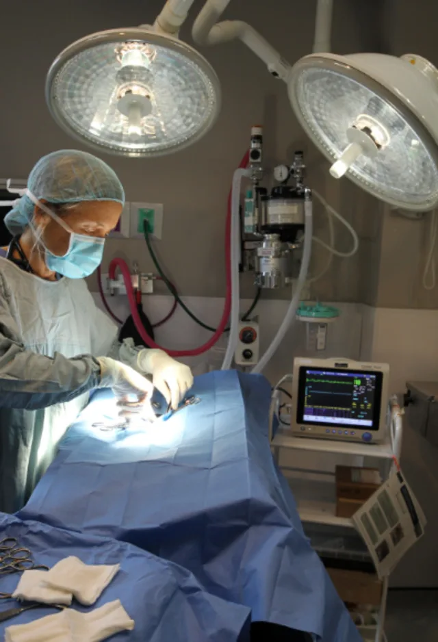 Staff performing surgery Staff performing surgery