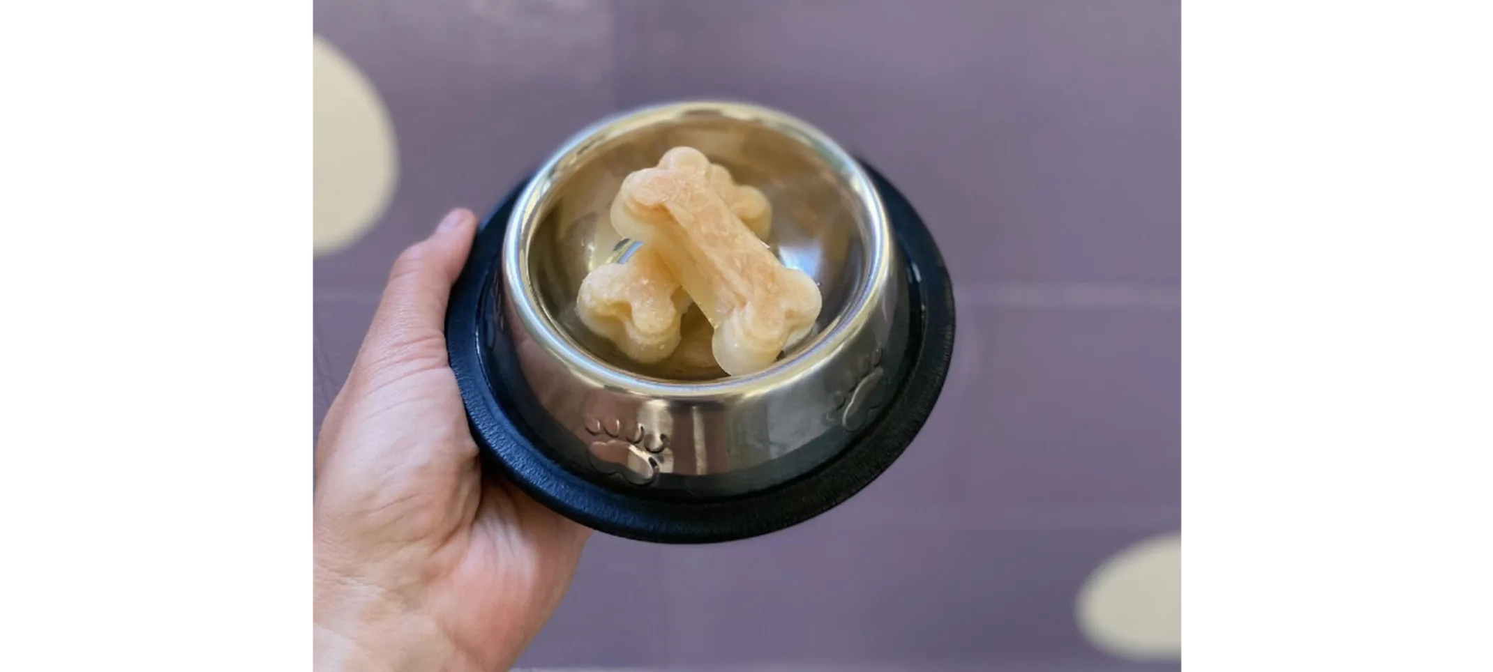 Two Bone Shaped Treats in a Bowl Two Bone Shaped Treats in a Bowl