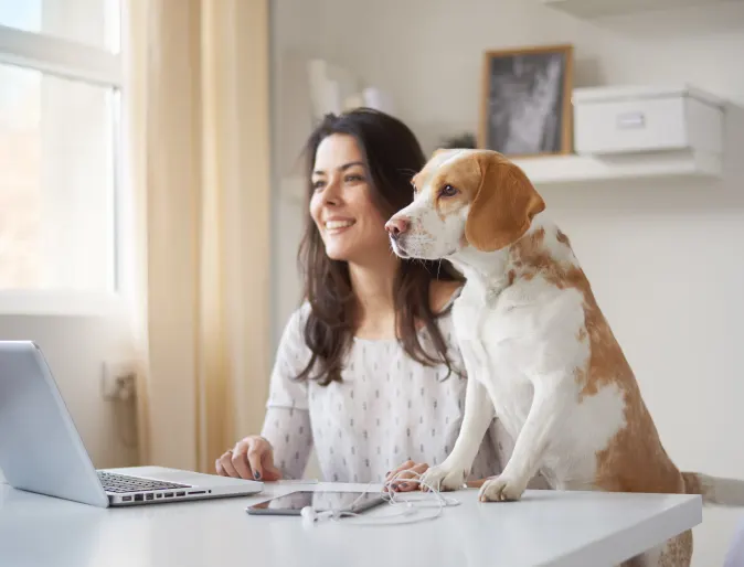 Dog sitting next to a woman looking at a computer