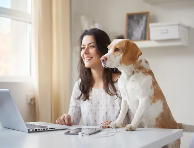 Dog sitting next to a woman looking at a computer Dog sitting next to a woman looking at a computer
