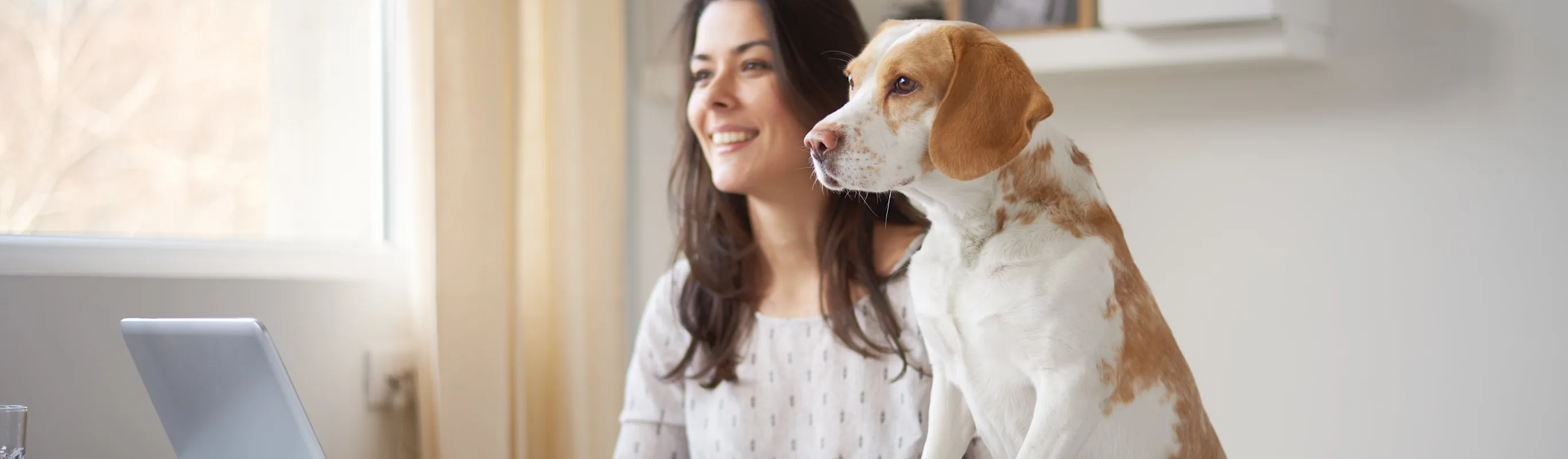 Dog sitting next to a woman looking at a computer