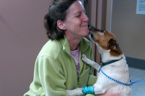 Dog licking staff member