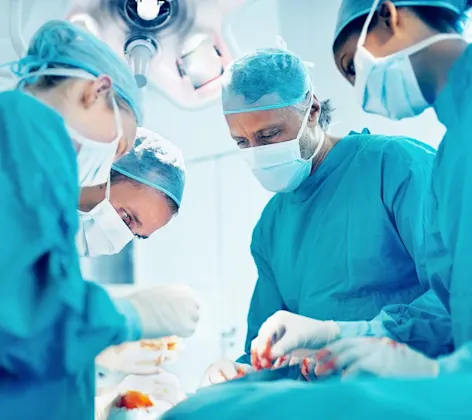 Doctor doing a pet surgery Doctor doing a pet surgery
