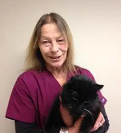 Lois at Danvers Animal Hospital Lois at Danvers Animal Hospital