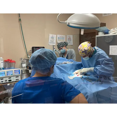 Doctor and Staff Doing Surgery Doctor and Staff Doing Surgery