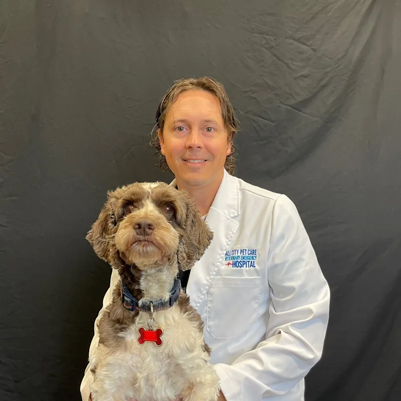 Dr. Jeff Heitman Dr. Jeff Heitman