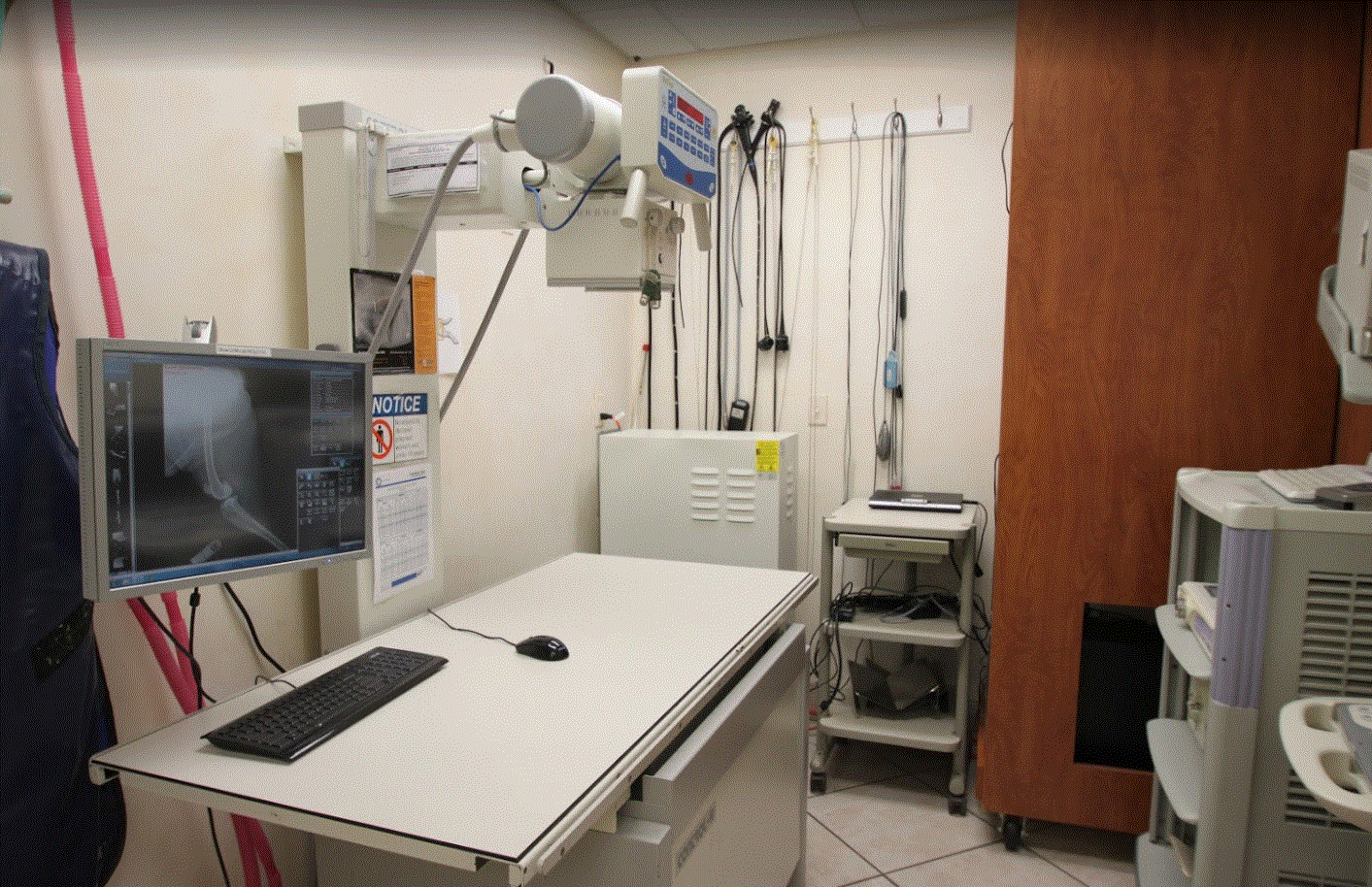 Hometown Animal Hospital - Medical Room 6