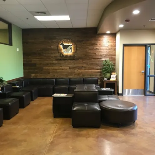 Ocotillo Animal Clinic and Pet Resort Waiting Room