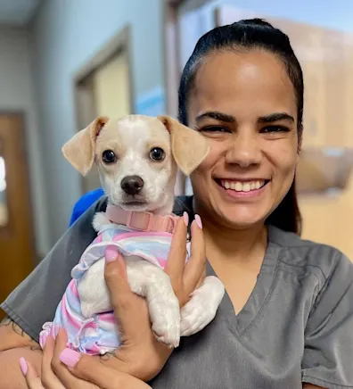 Ashley Lee Ashley Lee