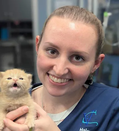 Haley Marino Haley Marino