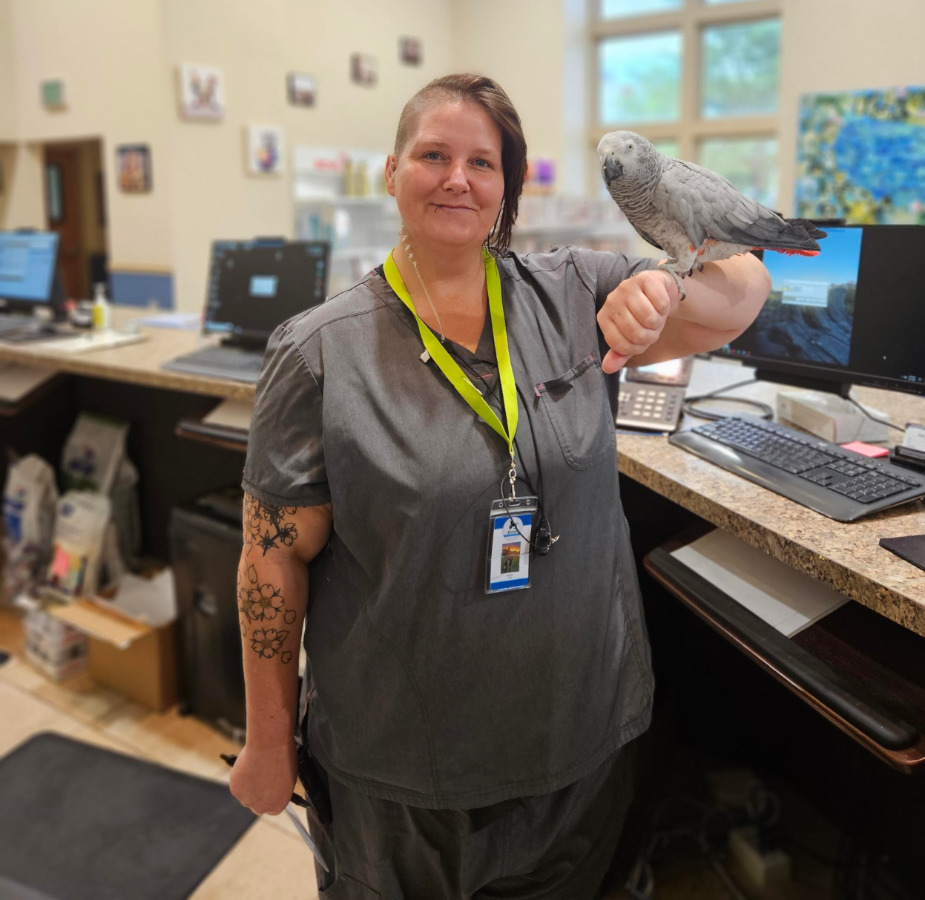 Staff member dressed in gray holding a bird
