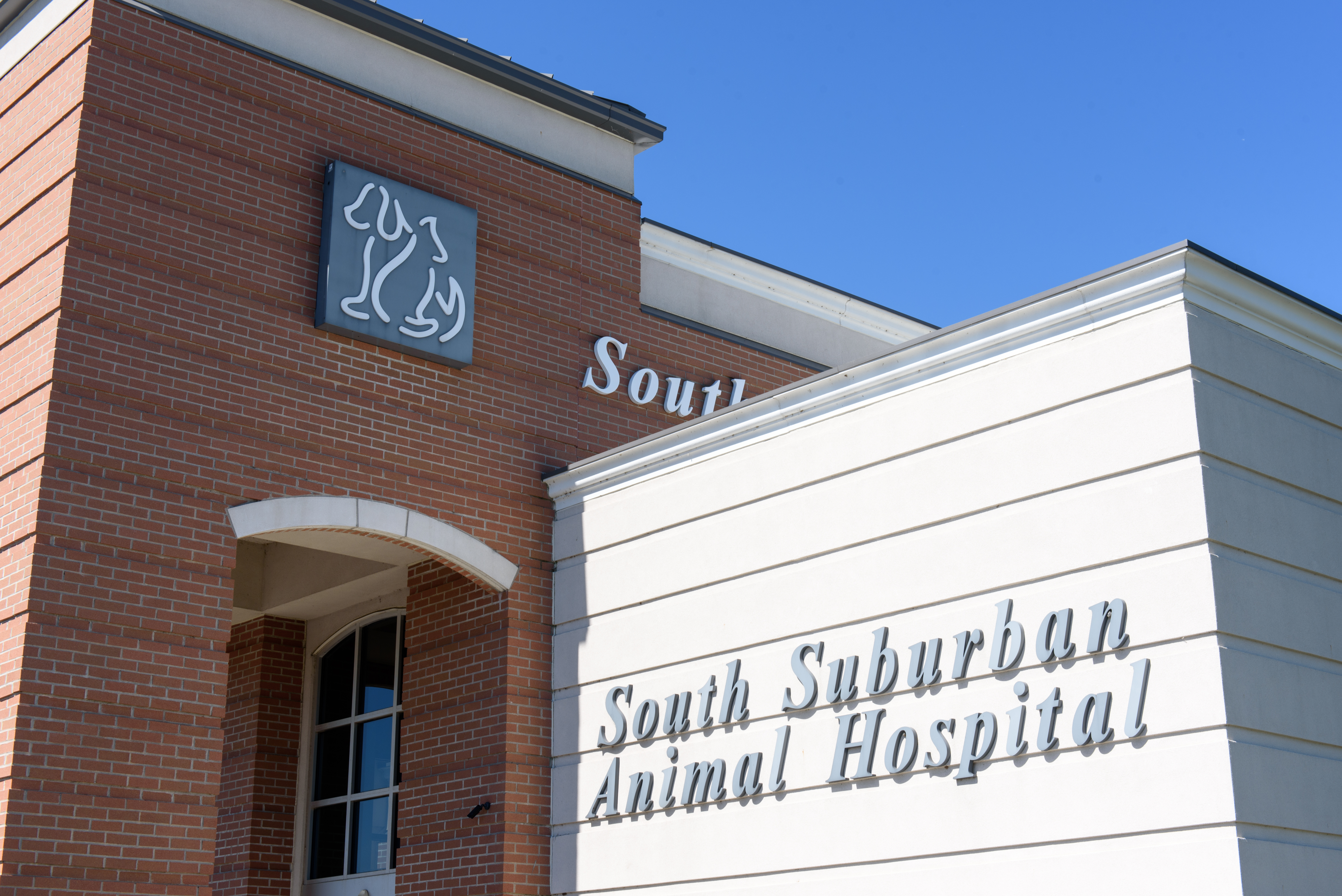 Veterinary Care in Perrysburg, OH | South Suburban Animal Hospital