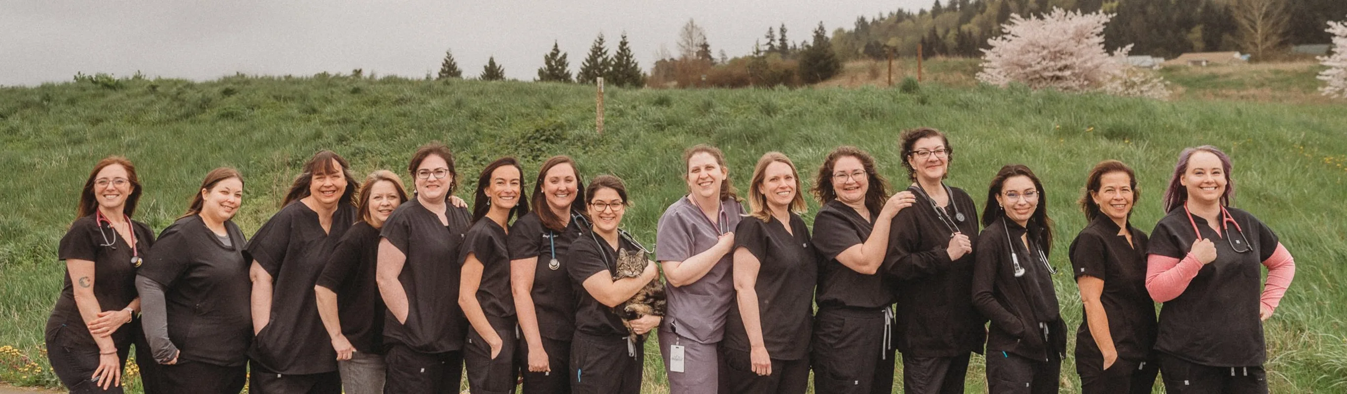 Team at Greywolf Veterinary Hospital Team at Greywolf Veterinary Hospital