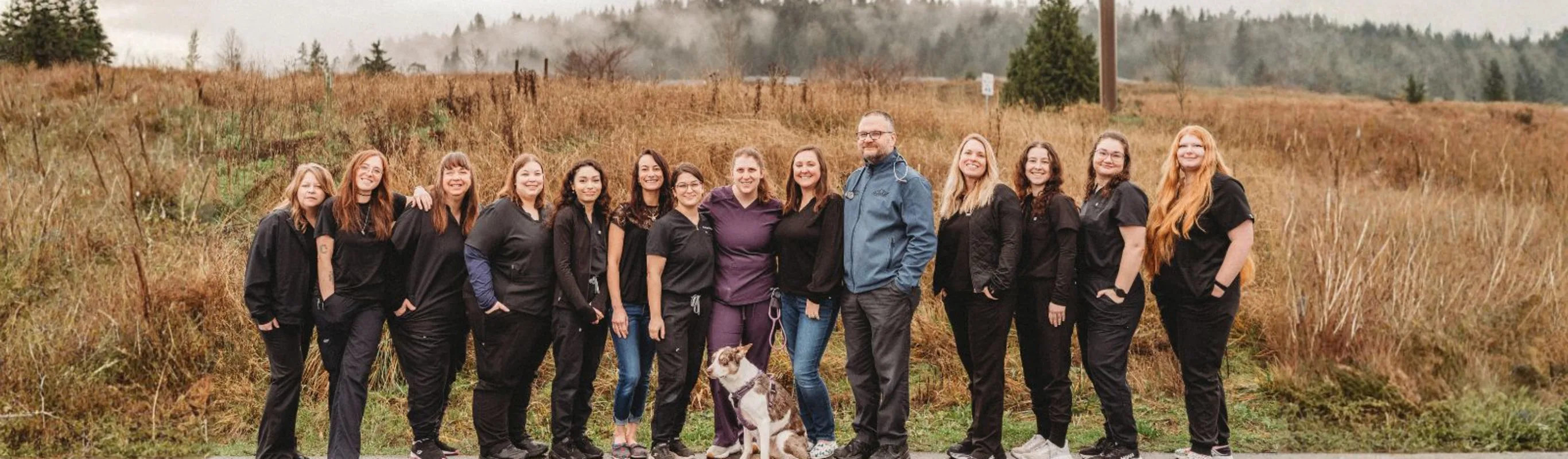 Team at Greywolf Veterinary Hospital Team at Greywolf Veterinary Hospital