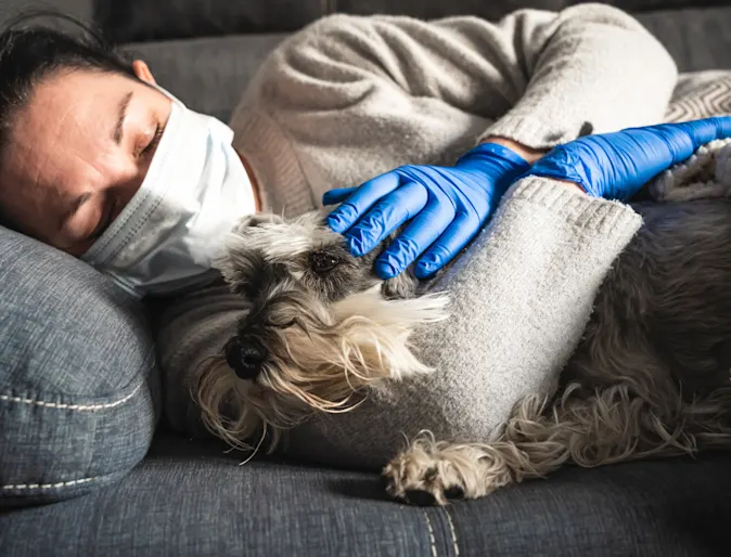 Woman with mask on holding dog with gloves Woman with mask on holding dog with gloves