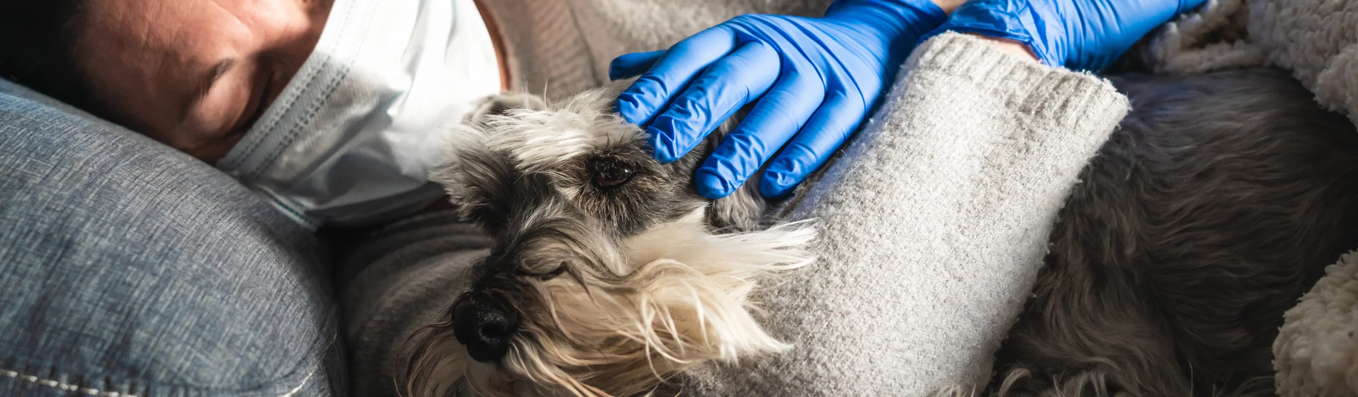 Woman with mask on holding dog with gloves