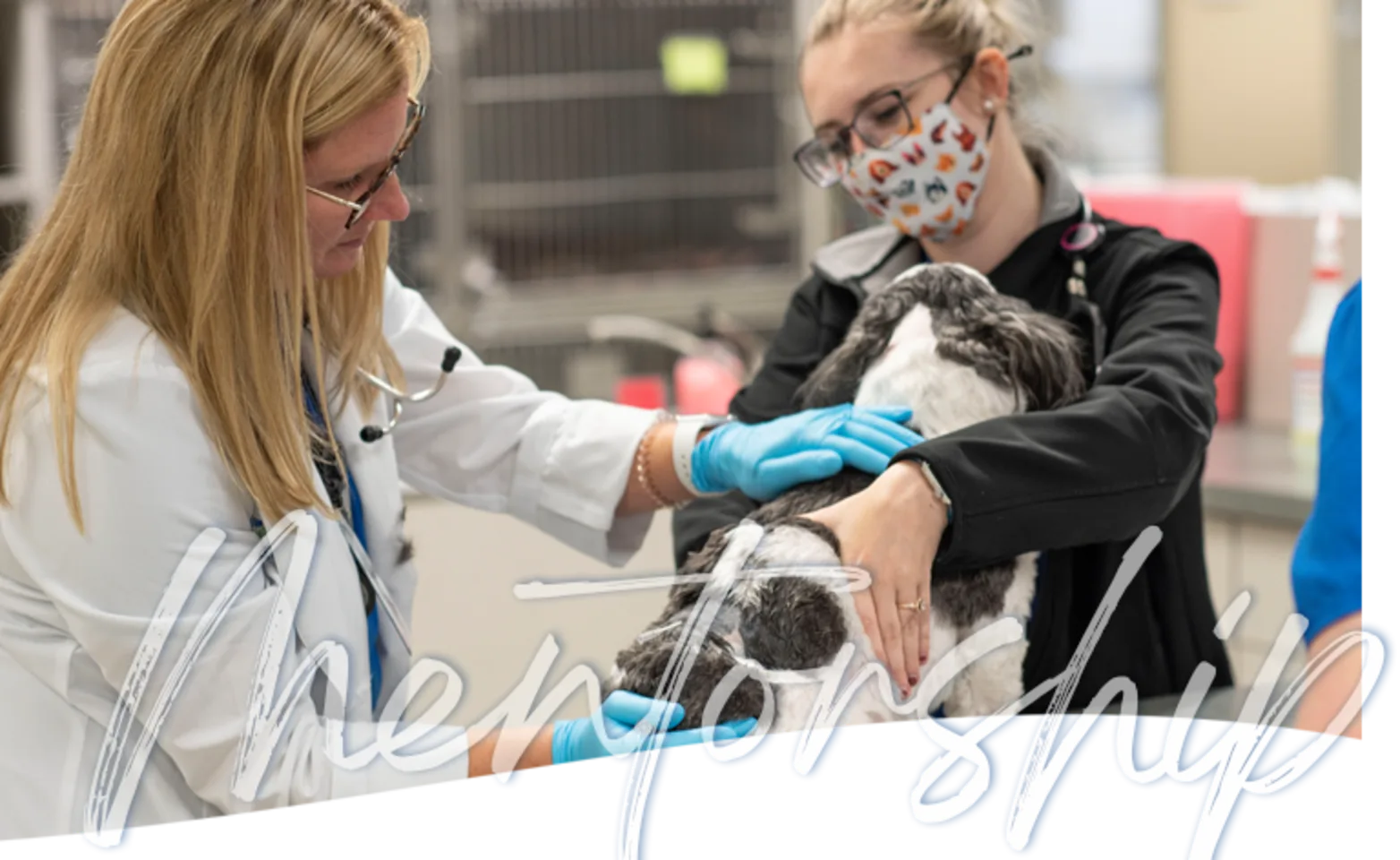 A doctor and staff holding a dog A doctor and staff holding a dog