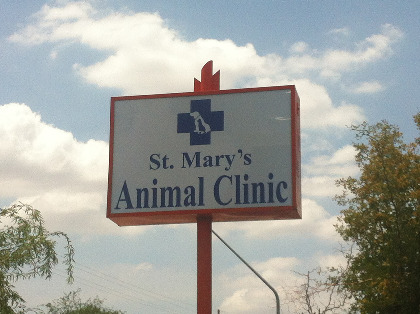 Homepage | St Mary's Animal Clinic