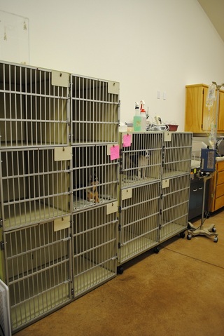 Westside Pet Hospital Kennel