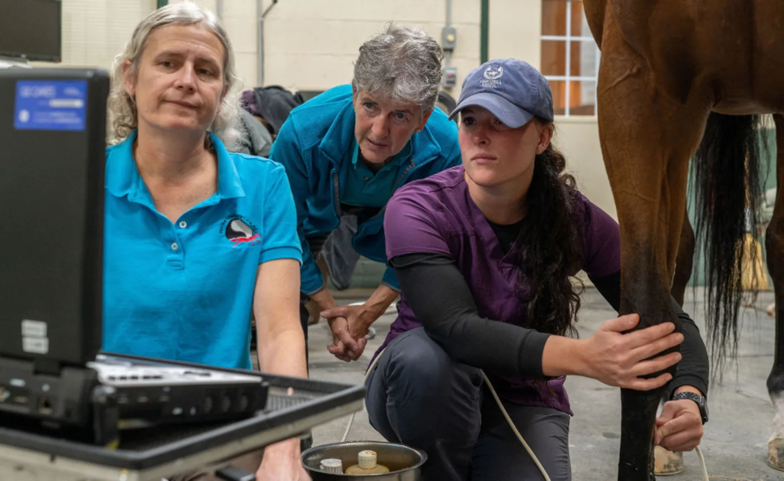 Staff member viewing images of a horse's leg