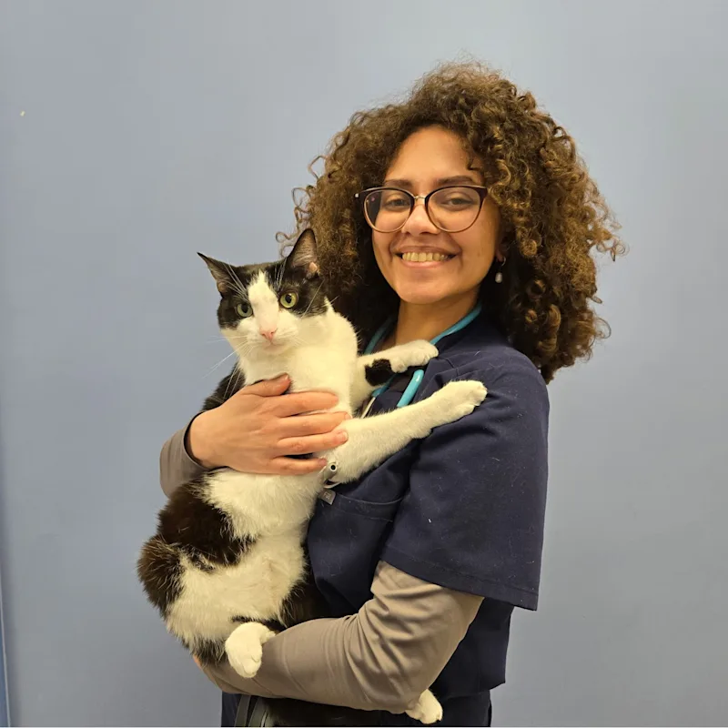 Dr. Youstina Makhlouf Dr. Youstina Makhlouf