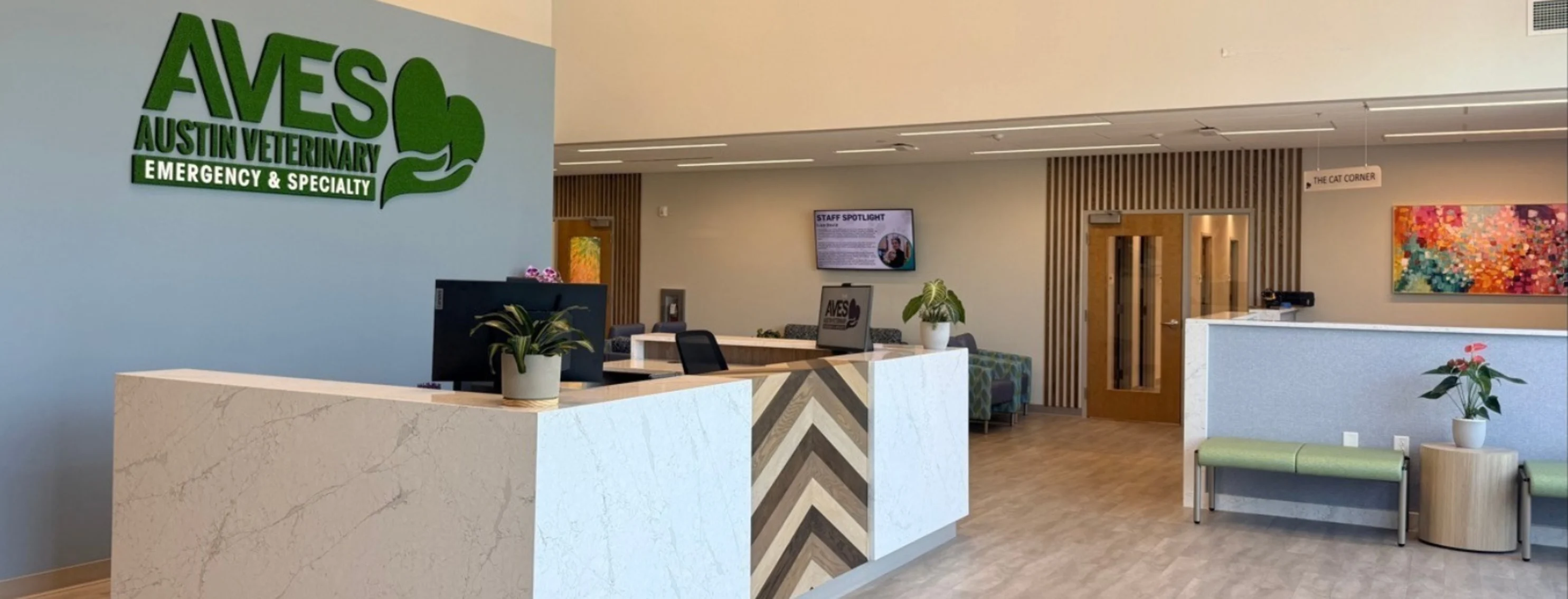 Interior view of AVES' reception desk. Interior view of AVES' reception desk.