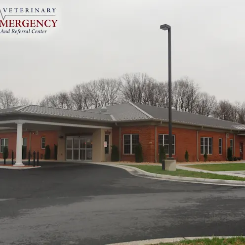 Exterior of Valley Veterinary Emergency Animal Hospital Exterior of Valley Veterinary Emergency Animal Hospital