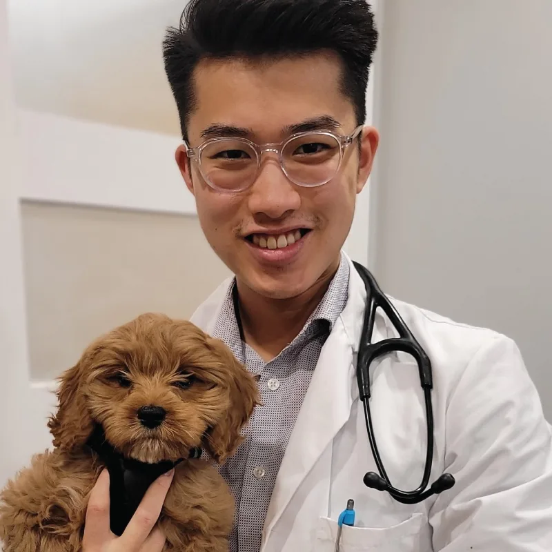 Dr. Darren Lo Dr. Darren Lo