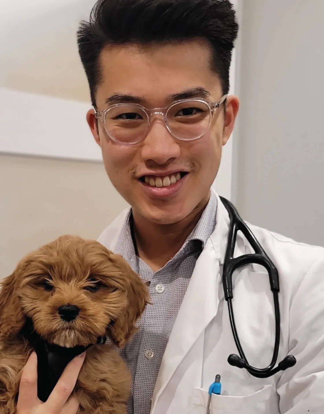 Dr. Darren Lo Dr. Darren Lo