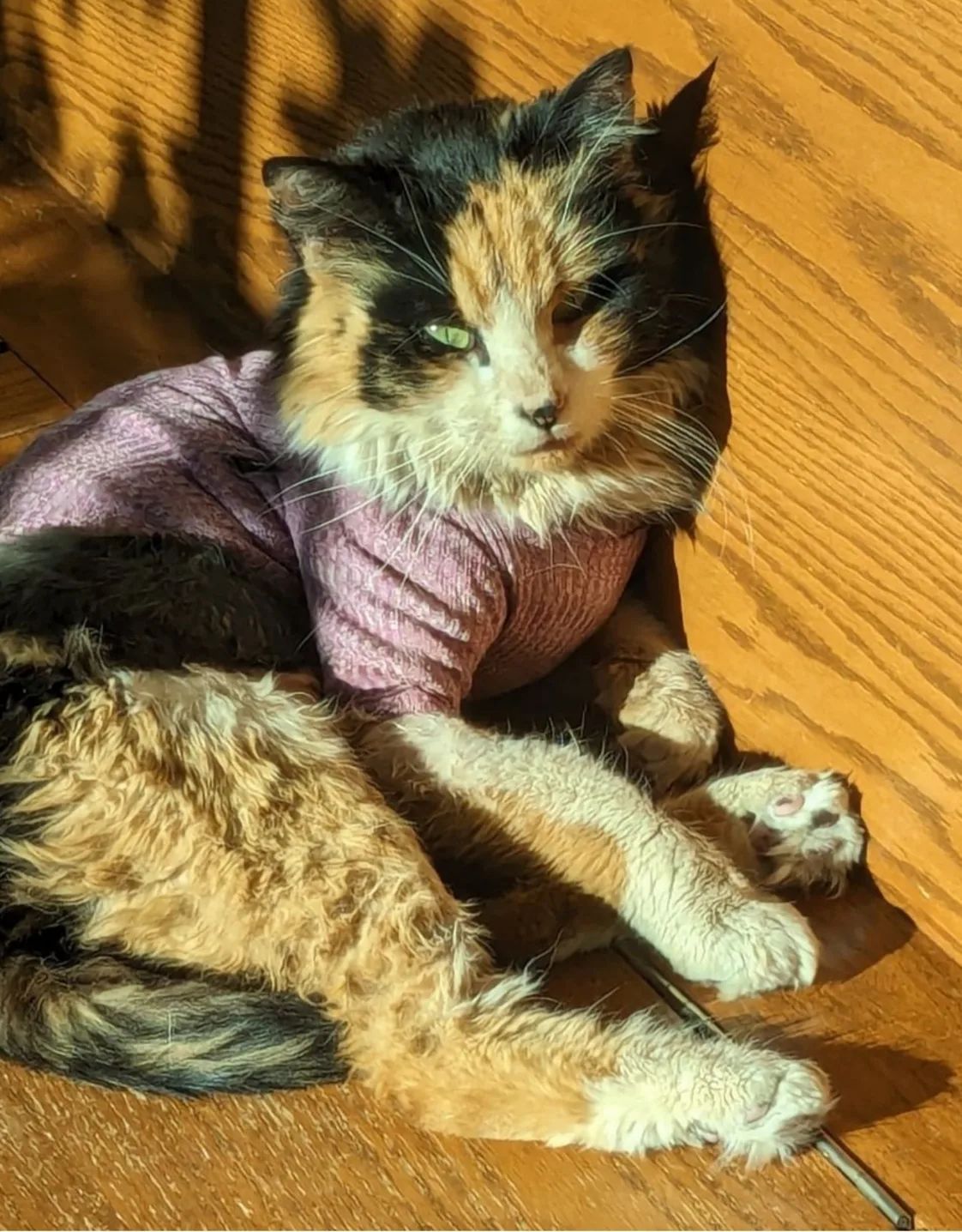 Kismet (Kizzy) Kismet (Kizzy)