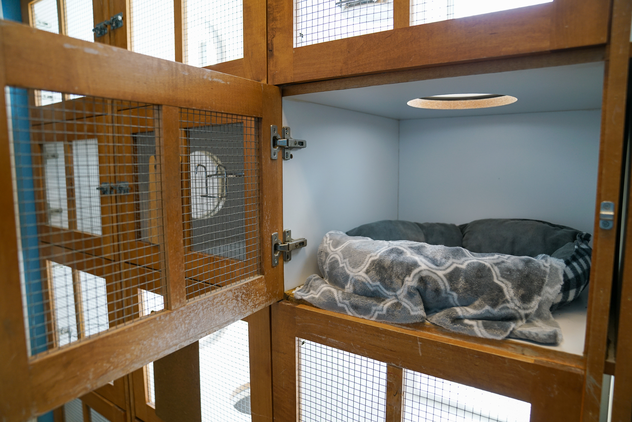 a cat cubby at Great Oaks Animal Hospital