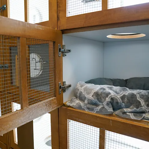 a cat cubby at Great Oaks Animal Hospital a cat cubby at Great Oaks Animal Hospital