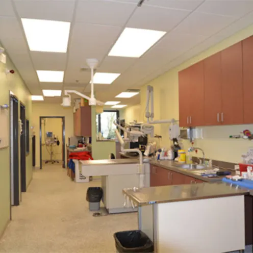 Animal Medical Clinic of Wheaton Animal Medical Clinic of Wheaton