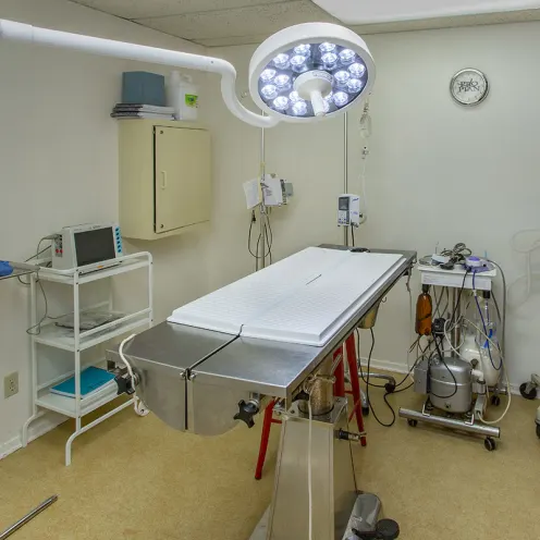 Operating room at Family Pet Clinic of Grapevine