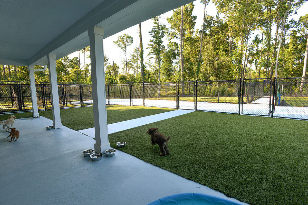 Outdoor Fenced Yard